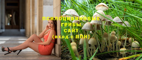 PSILOCYBIN Арсеньев