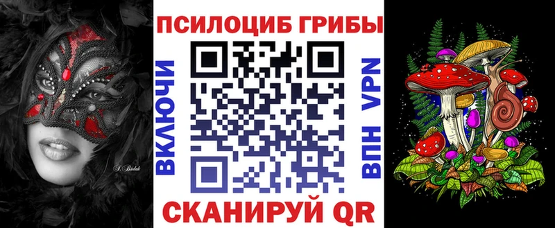 Галлюциногенные грибы Psilocybine cubensis  Лихославль 